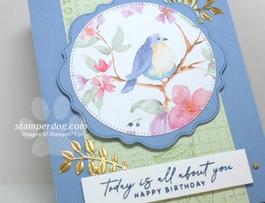 Boho Bluebird Birthday Card