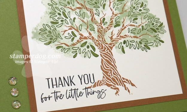 Twisted Tree Thank You Card