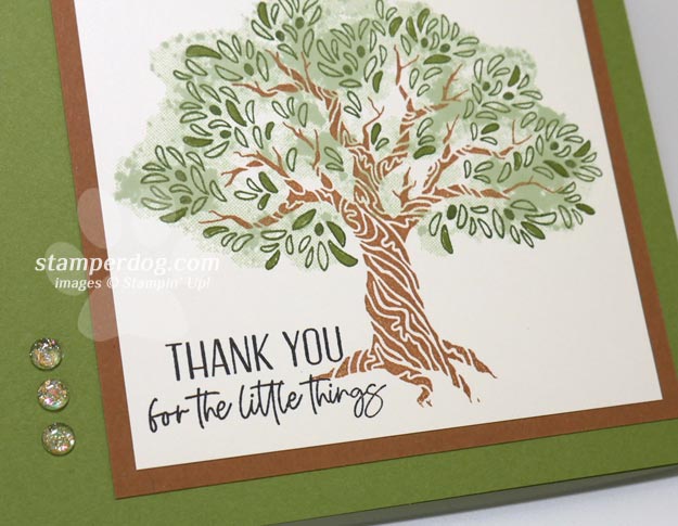 Twisted Tree Thank You Card