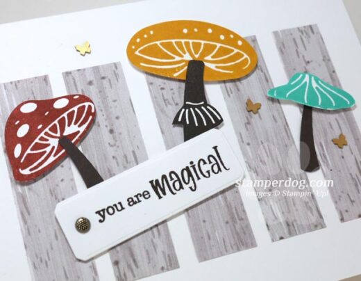 Magic Mushrooms Card