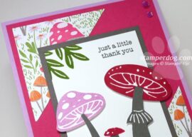 Toadstool Thank You Card