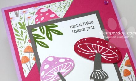 Toadstool Thank You Card