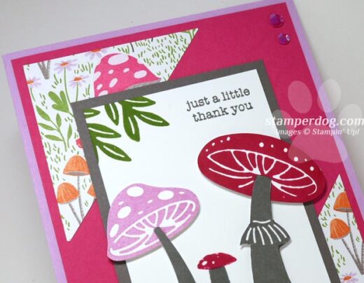 Toadstool Thank You Card