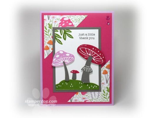 Toadstool Thank You Card